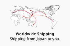 Worldwide Shipping